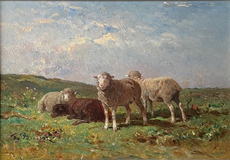 Moutons+dans+la+plaine